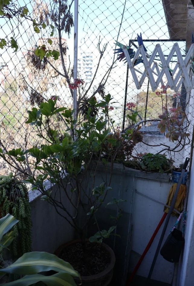 Oportunidad! Se vende un departamento de 2 ambientes super luminoso - Balvanera